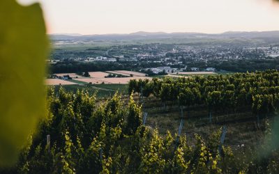 thomas-peham-BdvOHQcoUp0-unsplash